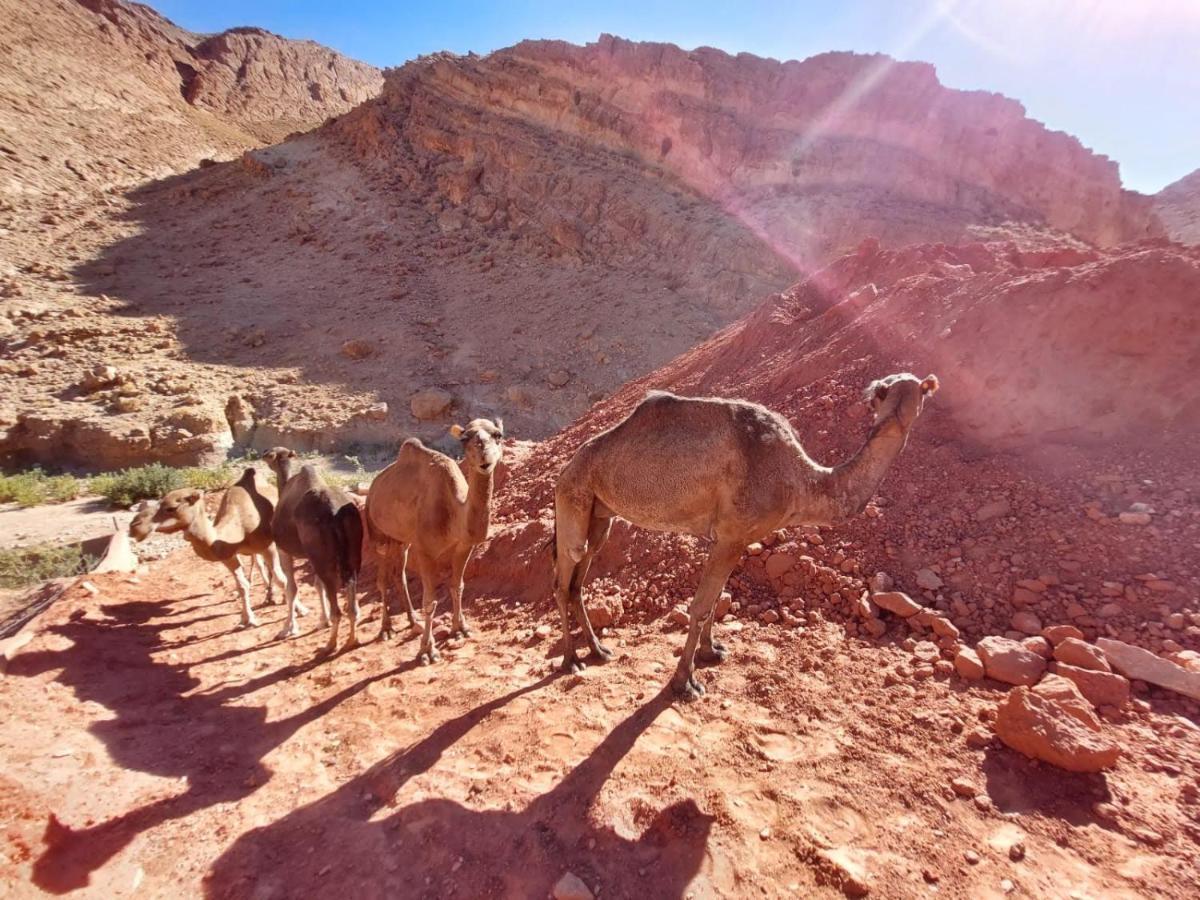 Bab El Atlas Kelaat-M'Gouna Екстер'єр фото